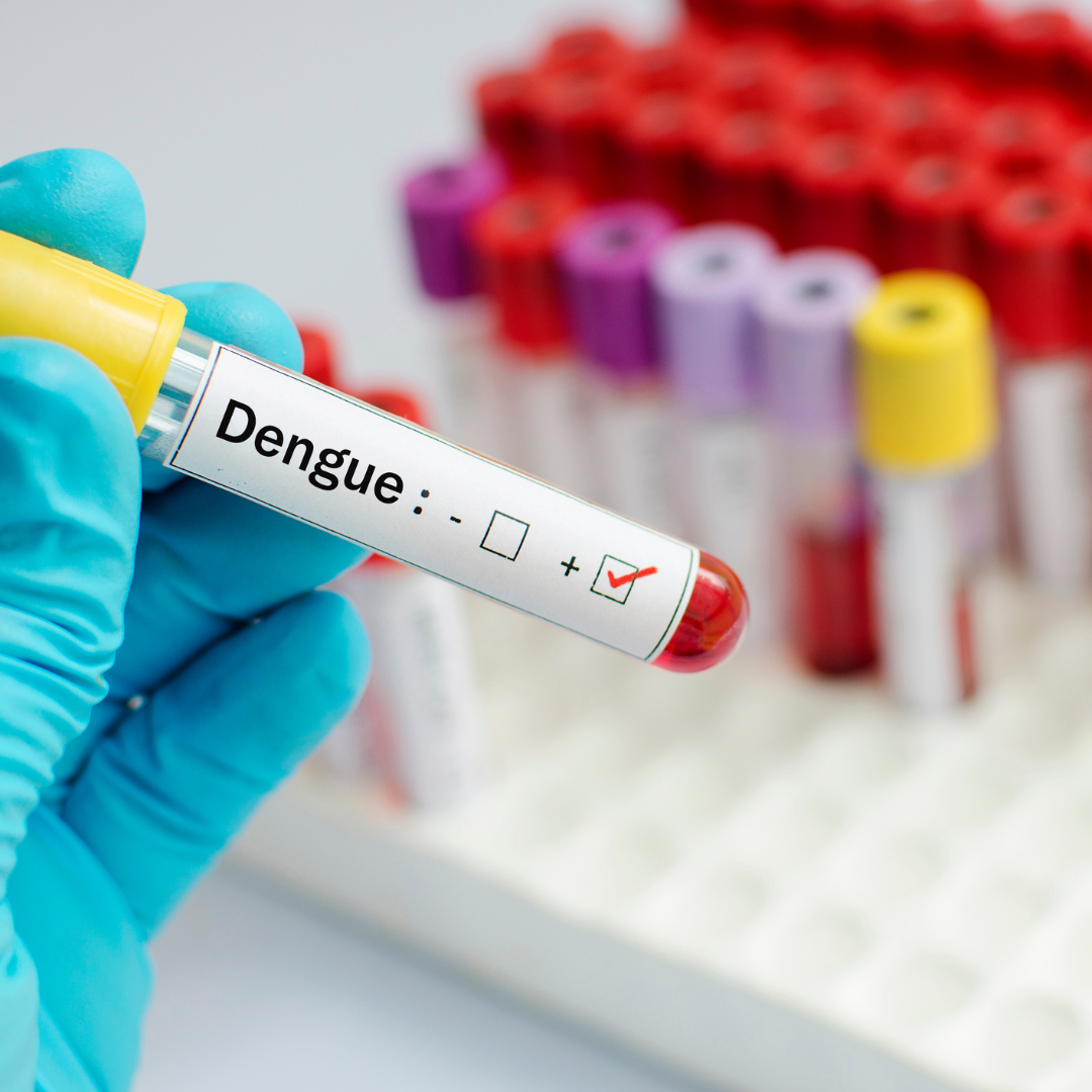 DENGUE &MALARIA